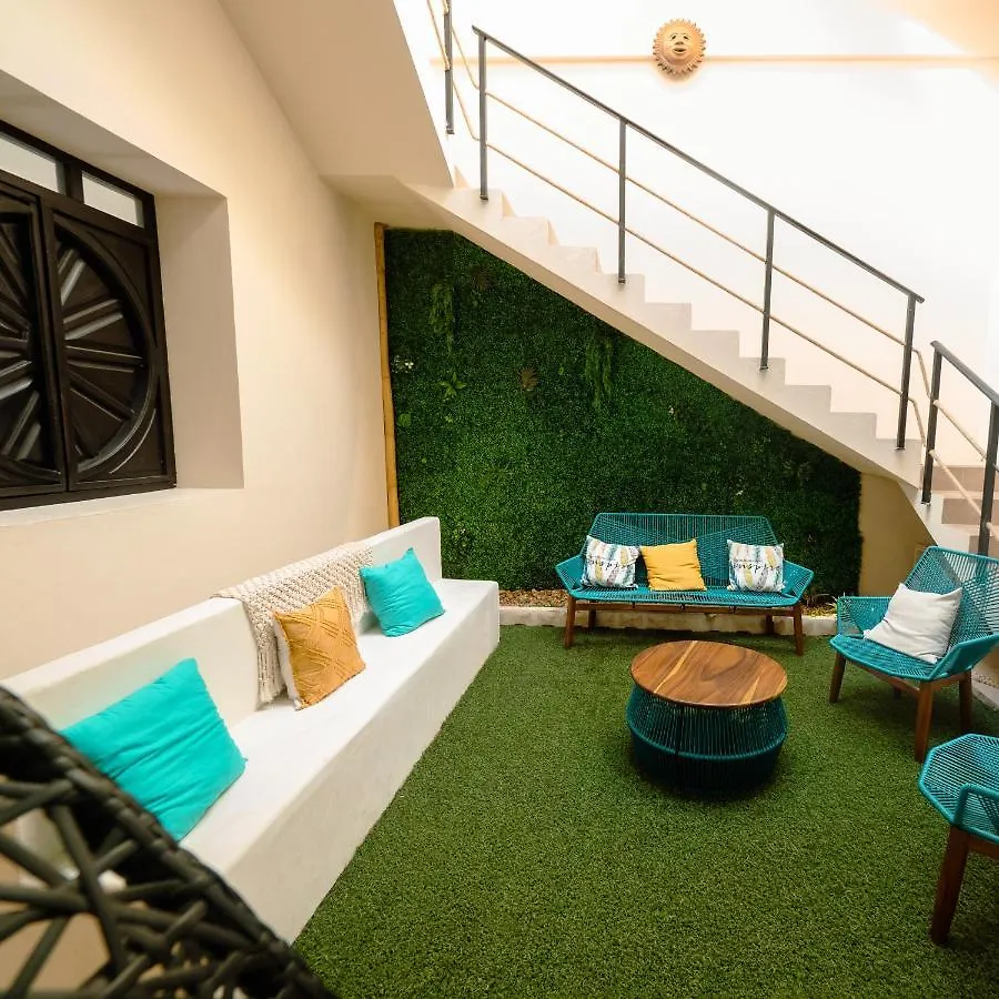 Nido Colibri - Private Rooms And Hostel Dorms In Remate De Paseo Montejo Mérida México