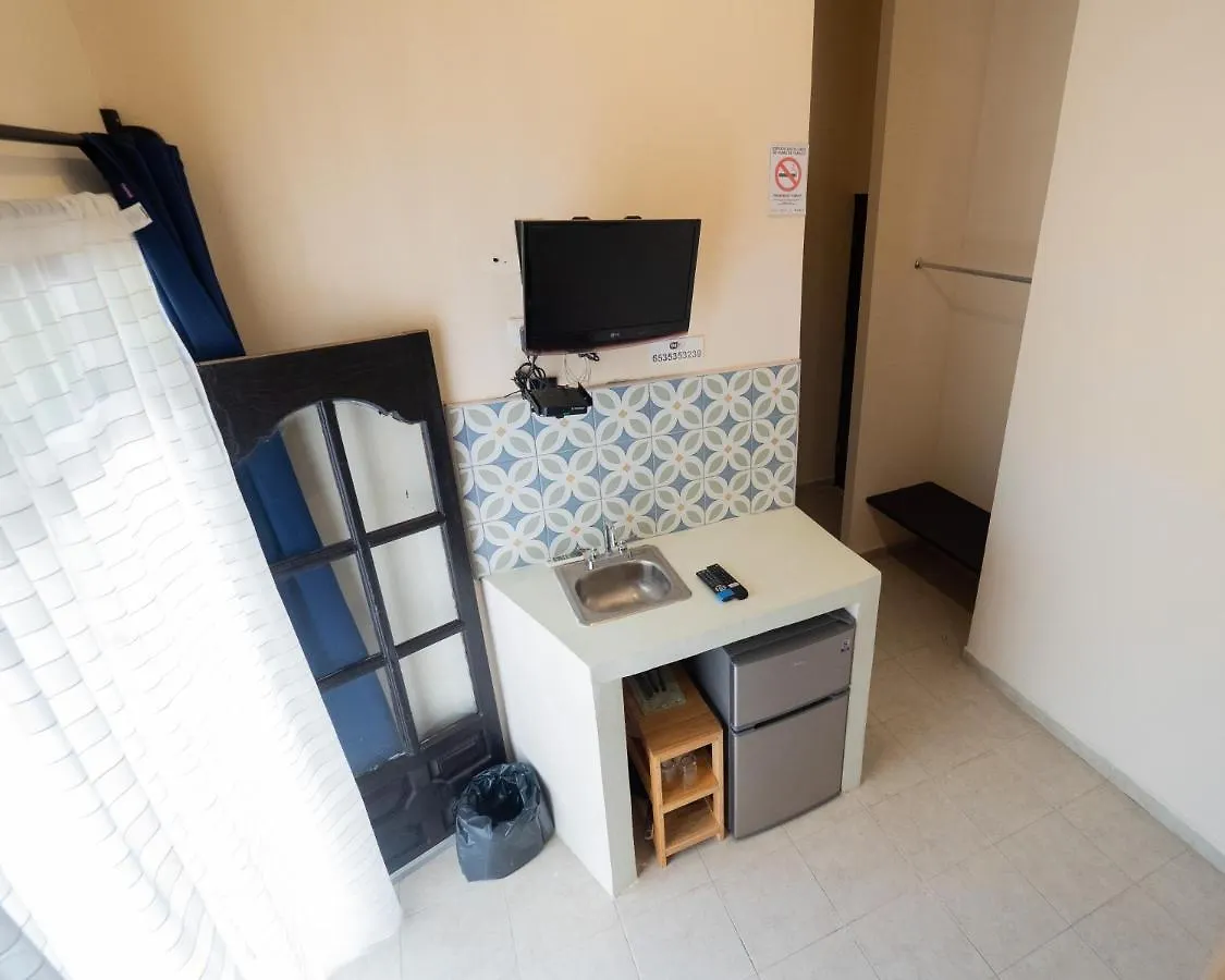 Nido Colibri - Private Rooms And Hostel Dorms In Remate De Paseo Montejo Mérida