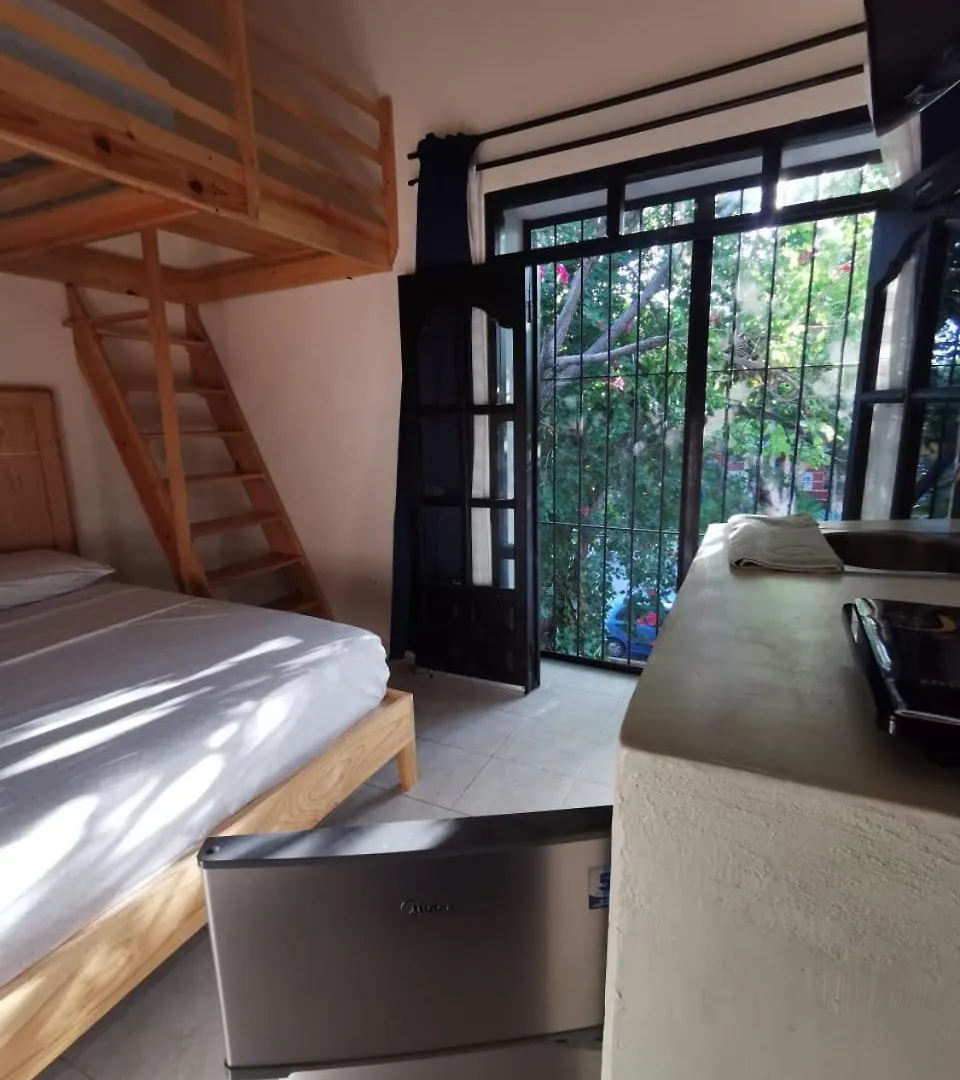 Nido Colibri - Private Rooms And Hostel Dorms In Remate De Paseo Montejo Mérida